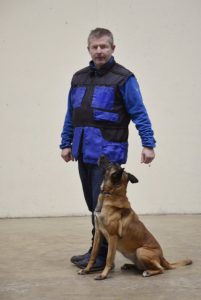 Dave Brunnock - Brunnock Canine Solutions - Dog Training Limerick
