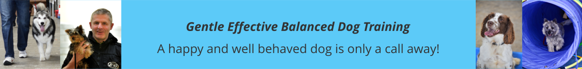 Balanced Dog Training